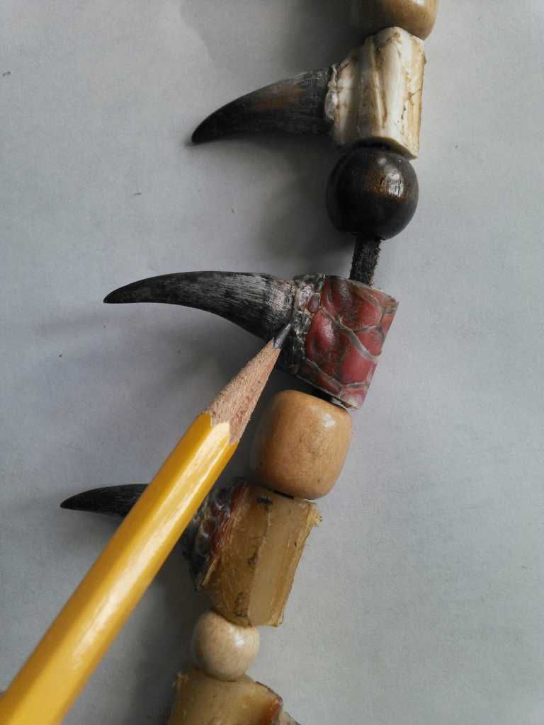 How to Accurately Measure Turkey Beards and Spurs Michigan Sportsman